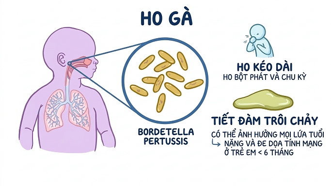 Be-ho-mai-khong-khoi-la-do-dau-3