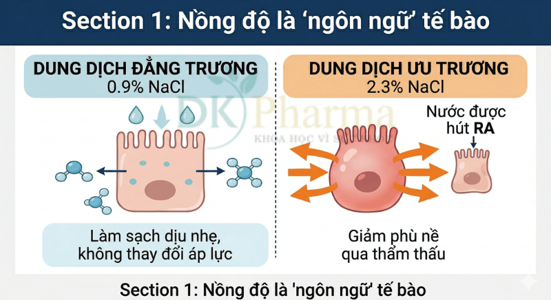 Nước muối đẳng trương và ưu trương