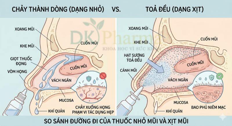 So Sánh đường đi Của Nhỏ Mũi Và Xịt Mũi
