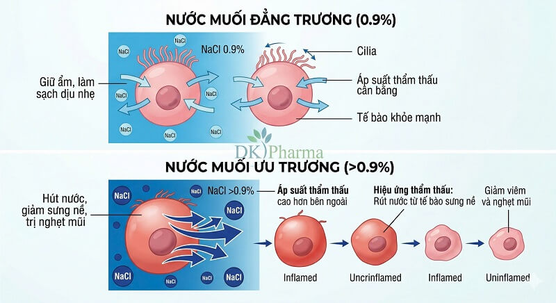Nước Muối ưu Trương Và Nước Muối đẳng Trương