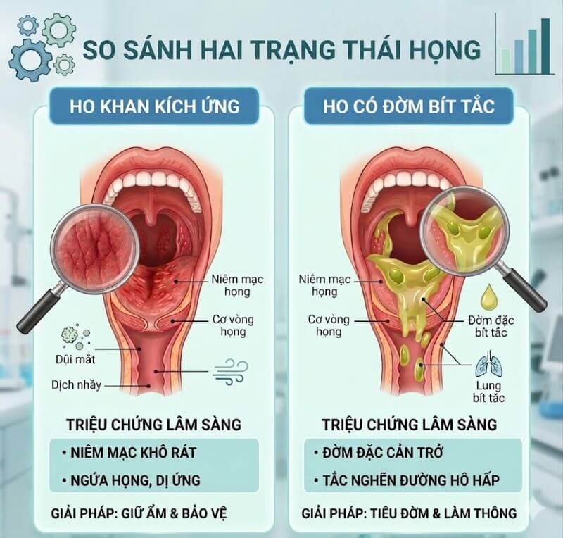 Ho khan và ho có đờm