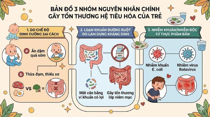 Nguyên nhân gây tổn thương hệ tiêu hóa