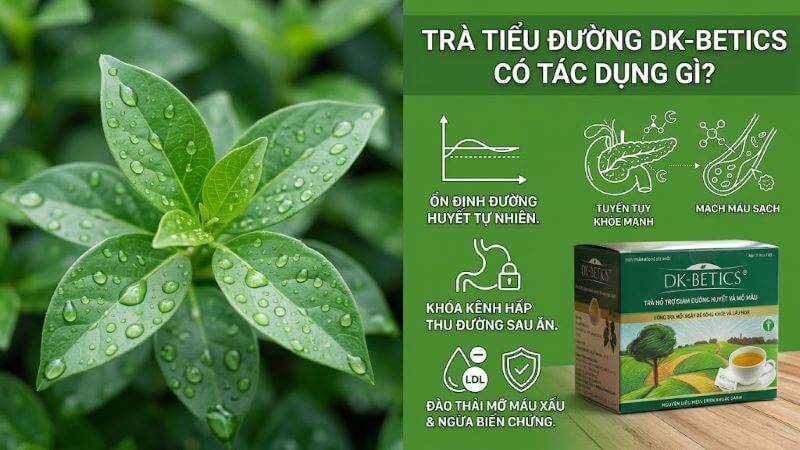 Trà tiểu đường DK-Betics có tác dụng gì?