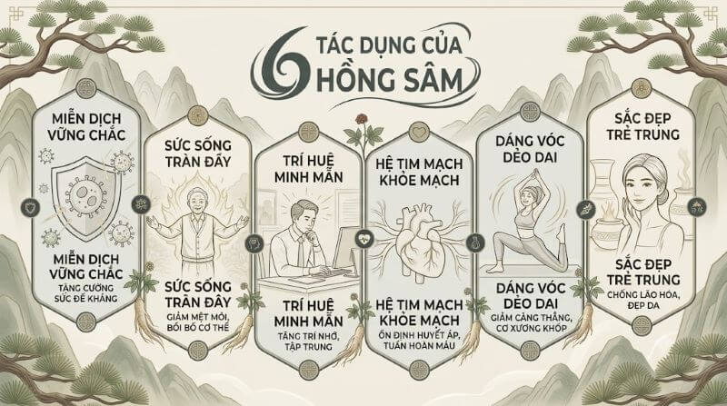 6 Lợi ích của hồng sâm với người lớn tuổi