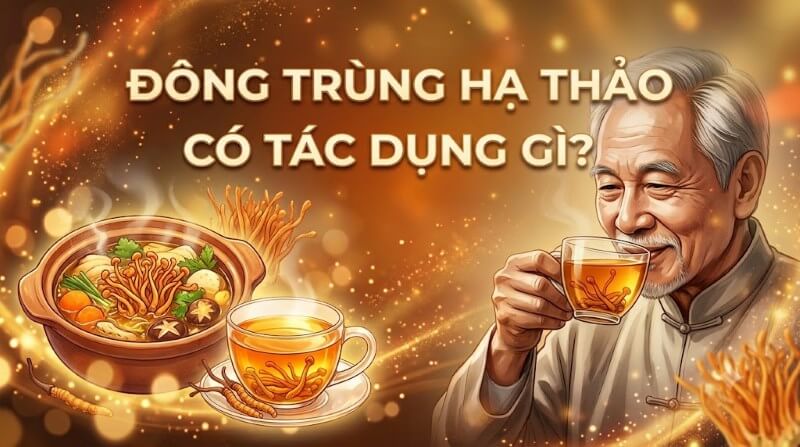 Đông trùng hạ thảo có tác dụng gì?