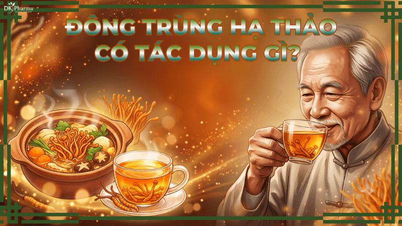 Đông trùng hạ thảo có tác dụng gì?
