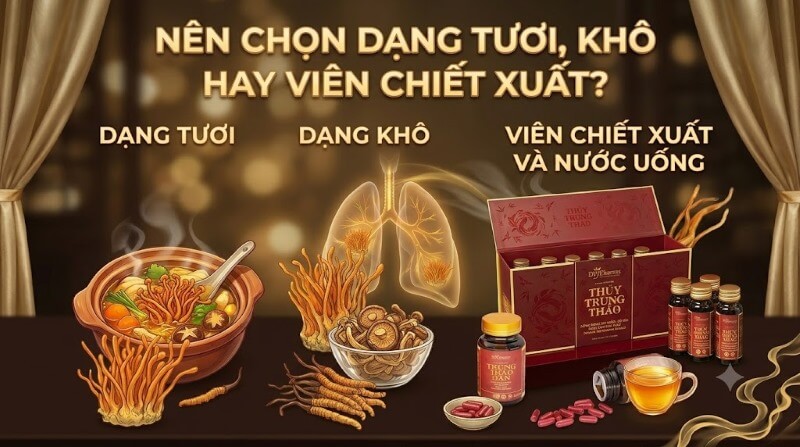 Nên chọn dạng tươi, khô hay viên chiết xuất?